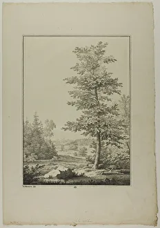 Blatt Baum Und Landschafts Studien Prints: Plate 29 from Blatt Baum und Landschafts Studien, c.1810. Creator: Lorenz Ekemann Alesson