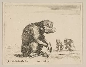 Wild Animal Gallery: Plate 3: seated monkey, from Various animals (Diversi animali), ca. 1641