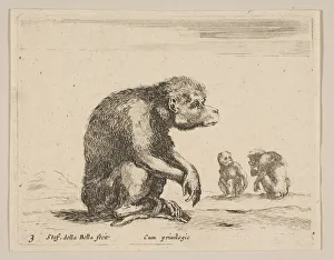 Plate 3: seated monkey, from Various animals (Diversi animali), ca. 1641