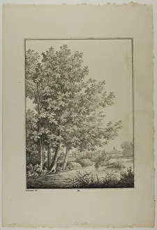 Blatt Baum Und Landschafts Studien Prints: Plate 30 from Blatt Baum und Landschafts Studien, c.1810. Creator: Lorenz Ekemann Alesson