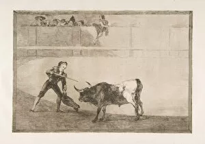 Bullfight Gallery: Plate 30 of the Tauromaquia : Pedro Romero killing the halted bull. 1816