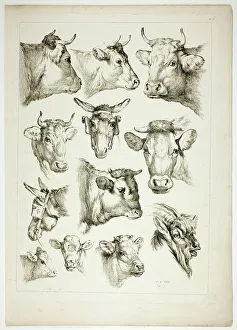 Huet Jean Baptiste I Prints: Plate 35 of 38 from Oeuvres de J. B. Huet, 1796–99. Creator: Jean Baptiste Marie Huet