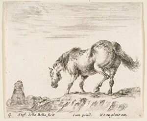 Nicolas Gallery: Plate 4: a horse in profile facing the left, about to descend from a mound, a horse