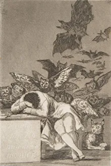 Intellectual Prints: Plate 43 from Los Caprichos : The sleep of reason produces monsters (E