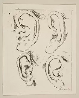 Plate 5: four ears, from The Book for Learning to Draw (Livre pour apprendre à