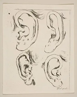 Plate 5: four ears, from The Book for Learning to Draw (Livre pour apprendre à Plate 5: four ears, from The Book for Learning to Draw (Livre pour apprendre à