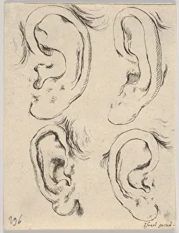 Plate 5: four ears, from The Book for Learning to Draw (Livre pour apprendre à