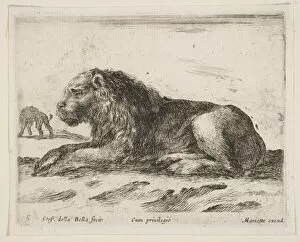 Wild Animal Gallery: Plate 5: reclining lion, from Various animals (Diversi animali), 1641