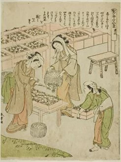 Branch Gallery: Plate 6 (Examining the Newly Spun Cocoons), from the series 'Kaiko Yashinai-gusa', Japan, c. 1772