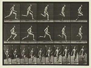 Running Prints: Plate #60, Animal Locomotion, no date [1884-1885]. Creator: Eadweard J Muybridge