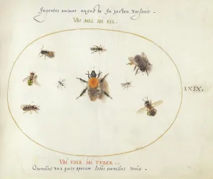 Bees Prints: Plate 69: Nine Bees and Other Insects, c. 1575/1580. Creator: Joris Hoefnagel