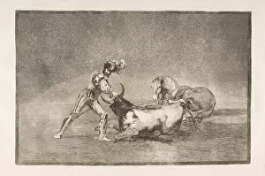 Bullfighting Collection: Plate 9 of the Tauromaquia : A Spanish knight kills the bull after having lost his horse