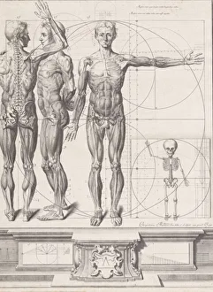 Plate for the Atlas Anatomico (unpublished), Plate ca. 1680-9