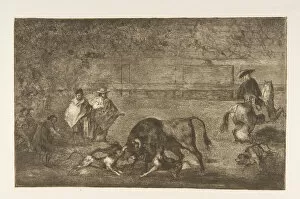 Bullfight Gallery: Plate C: The dogs let loose on the bull. ca. 1816. Creator: Francisco Goya