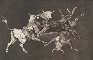 Folly Prints: Plate D from the Disparates : Fools- or Little Bulls - fo... ca