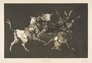 Folly Gallery: Plate D from the Disparates : Fools- or Little Bulls - folly, ca