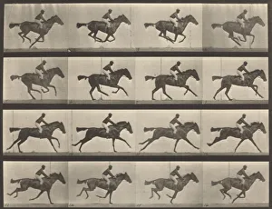 On Horseback Gallery: Plate Number 626. Gallop, thoroughbred bay mare, Annie G. 1887