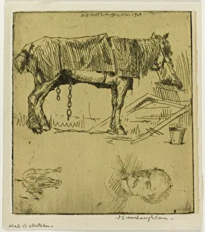 Maclaughlan Donald Shaw Prints: Plate of Sketches, 1902. Creator: Donald Shaw MacLaughlan