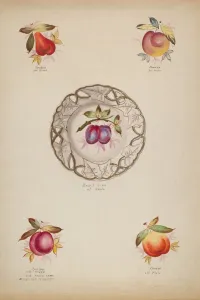 Cherries Gallery: Plates, c. 1936. Creator: J. Howard Iams