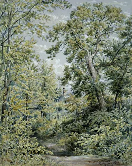New Jersey Collection: Pleasant Valley, New Jersey, 1858. Creator: William Rickarby Miller