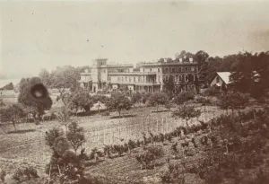 Vineyard Prints: [Pleasant Valley Winery, New York], 1861-65. Creator: Unknown