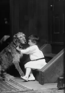 Plottner boy with dog, portrait photograph, 1907 Oct. 16. Creator: Arnold Genthe