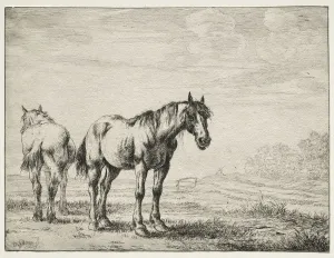Dirck Stoop Prints: Two plough horses. Creator: Dirck Stoop (Dutch, c. 1618-1681)