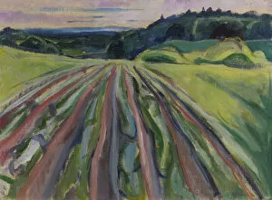 Ploughed field, 1916