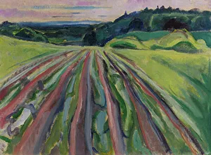 Country Life Prints: Ploughed field, 1916