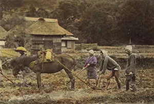 Plough Prints: Ploughing, about 1873-1883. Creator: Shinichi Suzuki I