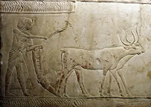 Ploughing from an Egyptian Stele, 18th Dynasty, 1332BC-1323 BC Ploughing from an Egyptian Stele, 18th Dynasty, 1332BC-1323 BC
