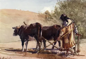 Mount Olivet Prints: Ploughing on the Mount of Olives, 1902. Creator: John Fulleylove