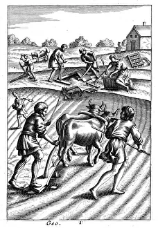 Ploughing with oxen, sowing seed broadcast and harrowing, 18th century Ploughing with oxen, sowing seed broadcast and harrowing, 18th century