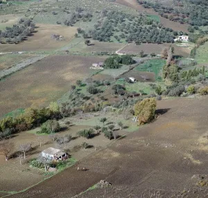 Ploughing in Sicily