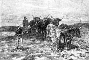 Plough Prints: Ploughing on the Sussex Downs, 1881. Creator: William Michael Roberts Quick