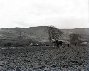 Machine Prints: Ploughing, Wales, c1955. Creator: Arthur Charles Kirby Ware