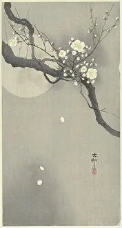 Koson 1877 1945 Prints: Plum blossom and full moon. Creator: Ohara, Koson (1877-1945)