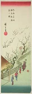 Chutanzaku Prints: Plum Garden in Full Bloom (Ume yashiki manka no zu)