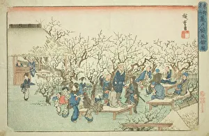 The Plum Garden at Komeido (Kameido ume yashiki no zu), from the series Famous... c. 1832/38. Creator: Ando Hiroshige. The Plum Garden at Komeido (Kameido ume yashiki no zu), from the series Famous... c. 1832/38. Creator: Ando Hiroshige