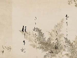 Cyathea Prints: A Poem from the Shin Kokinshu with Design of Shinobugusa (Moss Fern)