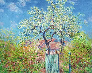 Blooming Prints: Poirier en Fleurs (Pear Tree in Blossom), 1885. Creator: Monet, Claude (1840-1926)