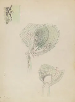 Crimi Nancy Prints: Poke Bonnet, c. 1936. Creator: Nancy Crimi