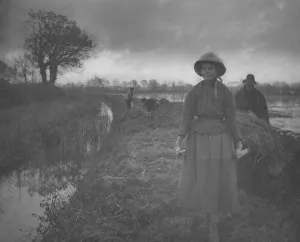 Poling the Marsh Hay, 1886. Creator: Peter Henry Emerson (British, 1856-1936); Sampson Low