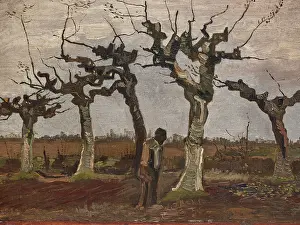 Vincent Prints: Pollard birches, 1884. Creator: Gogh, Vincent, van (1853-1890)