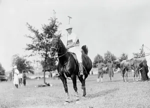 Polo Pony Prints: Polo. Army Polo, 1912. Creator: Harris & Ewing
