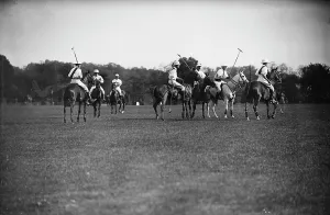 Ponies Prints: Polo, between c1910 and c1915. Creator: Bain News Service