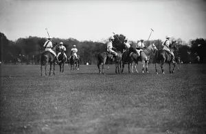 Pony Prints: Polo, between c1910 and c1915. Creator: Bain News Service