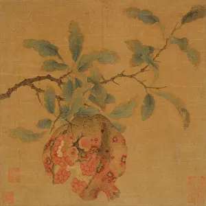 Ink On Silk Prints: Pomegranate, between c1200 and c1340. Creator: Anon