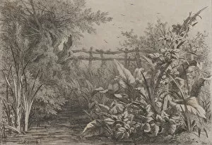 Blery Eugene Gallery: The Pond, 1857. Creator: Eugene Blery
