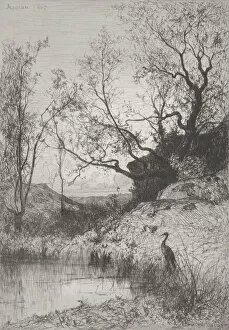 Ardeidae Gallery: A Pond, 1867. Creator: Adolphe Appian